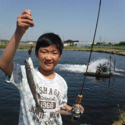 浜名湖フィッシングリゾート 釣果