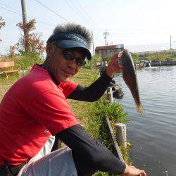浜名湖フィッシングリゾート 釣果