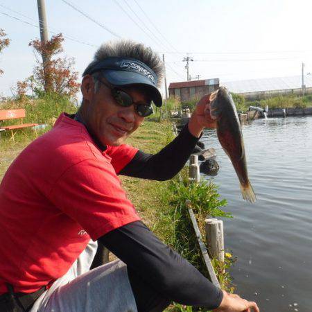 浜名湖フィッシングリゾート 釣果