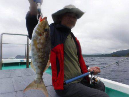 ローカルフィッシング 西表 マリンボックス 釣果