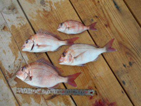 こかわ渡船　雅丸 釣果