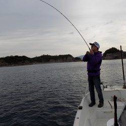 フィッシングボート空風(そらかぜ) 釣果