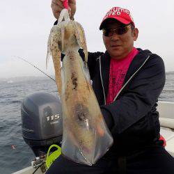 フィッシングボート空風(そらかぜ) 釣果