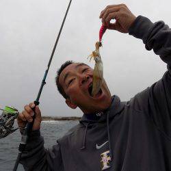 フィッシングボート空風(そらかぜ) 釣果