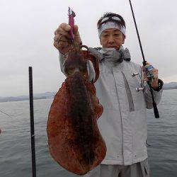 フィッシングボート空風(そらかぜ) 釣果