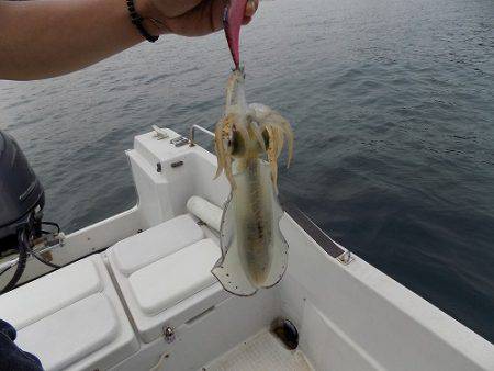 フィッシングボート空風(そらかぜ) 釣果
