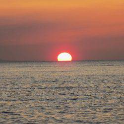 フィッシングボート空風(そらかぜ) 釣果