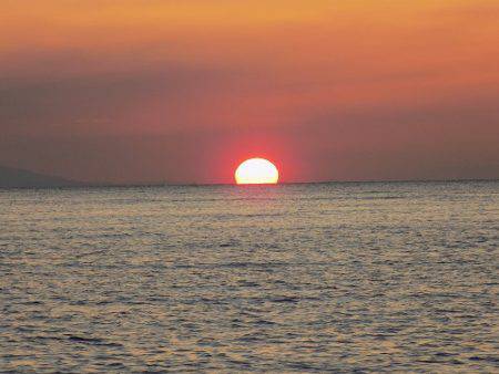 フィッシングボート空風(そらかぜ) 釣果