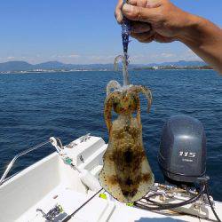 フィッシングボート空風(そらかぜ) 釣果