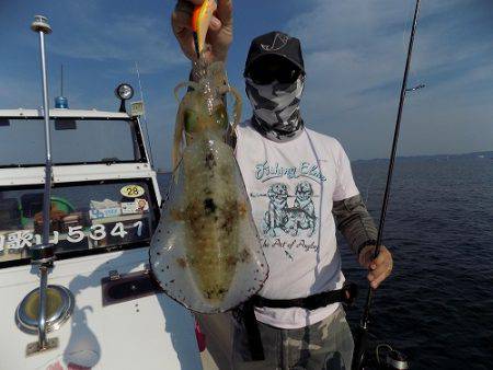 フィッシングボート空風（そらかぜ） 釣果
