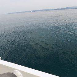 フィッシングボート空風（そらかぜ） 釣果