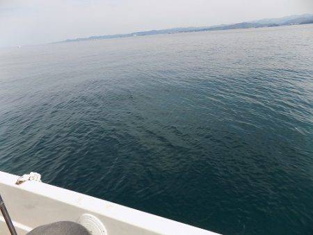 フィッシングボート空風（そらかぜ） 釣果