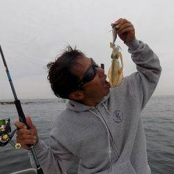 フィッシングボート空風(そらかぜ) 釣果