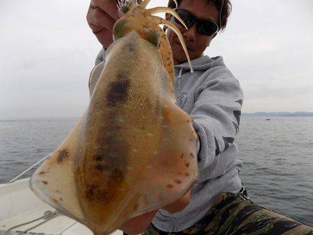 フィッシングボート空風（そらかぜ） 釣果