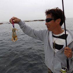 フィッシングボート空風(そらかぜ) 釣果