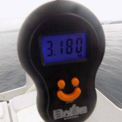 フィッシングボート空風(そらかぜ) 釣果