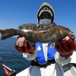 Fisherman Dreams DI 釣果