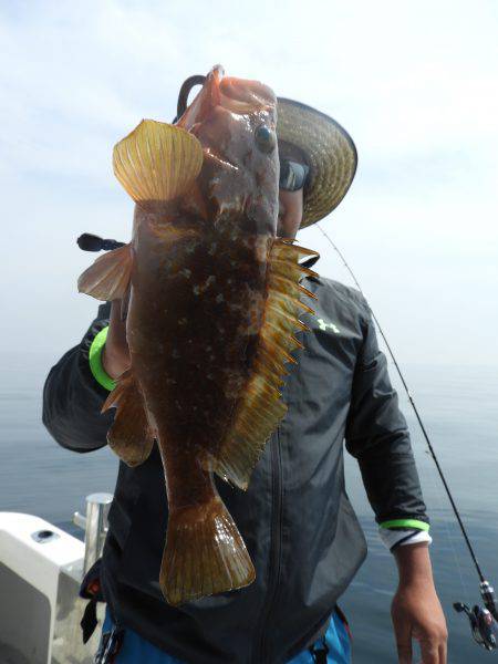 Fisherman Dreams DI 釣…