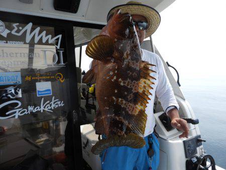 Fisherman Dreams DI 釣果