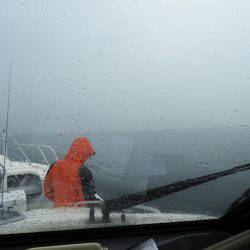 Fisherman Dreams DI 釣果