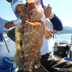 Fisherman Dreams DI 釣果