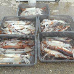 大進丸（愛知） 釣果