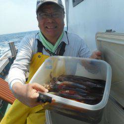 大進丸（愛知） 釣果