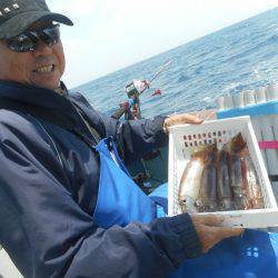 大進丸（愛知） 釣果