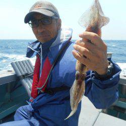 大進丸（愛知） 釣果