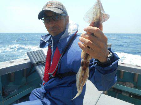 大進丸（愛知） 釣果