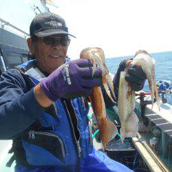 大進丸（愛知） 釣果