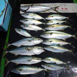 海宝丸 島根 釣果