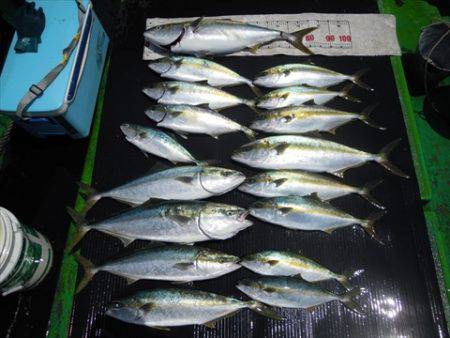 海宝丸　島根 釣果