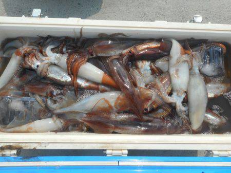 大進丸（愛知） 釣果