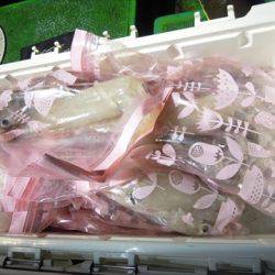 海宝丸 島根 釣果