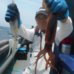 大進丸(愛知) 釣果