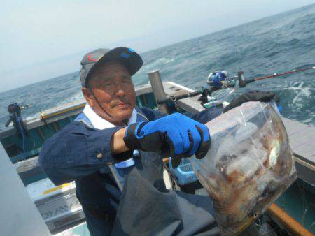 大進丸(愛知) 釣果