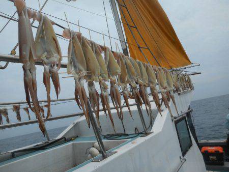 大進丸(愛知) 釣果