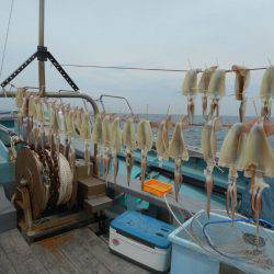 大進丸(愛知) 釣果