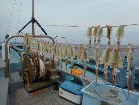 大進丸(愛知) 釣果