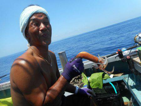 大進丸（愛知） 釣果