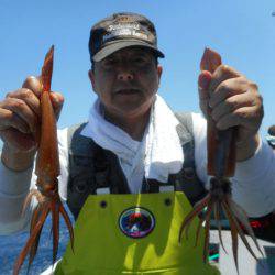 大進丸（愛知） 釣果