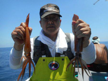 大進丸（愛知） 釣果