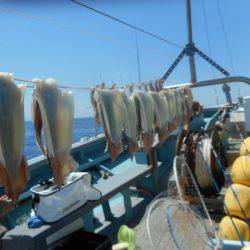 大進丸（愛知） 釣果
