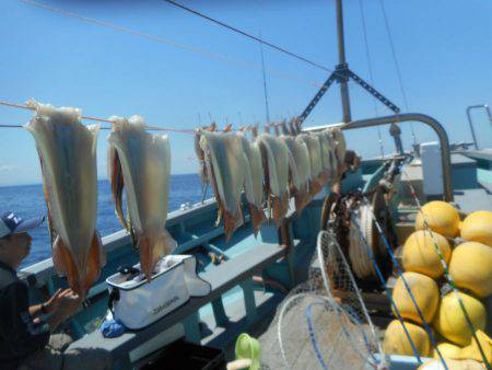 大進丸（愛知） 釣果
