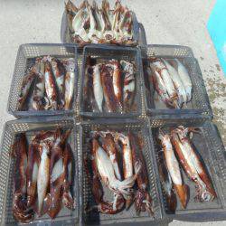 大進丸（愛知） 釣果