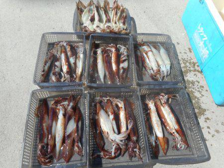 大進丸（愛知） 釣果