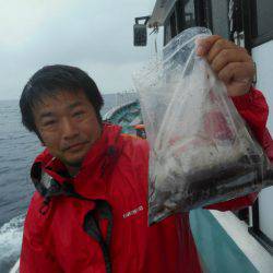 大進丸（愛知） 釣果