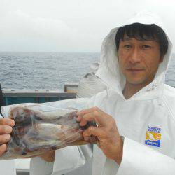 大進丸（愛知） 釣果