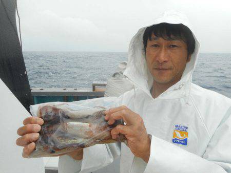 大進丸（愛知） 釣果